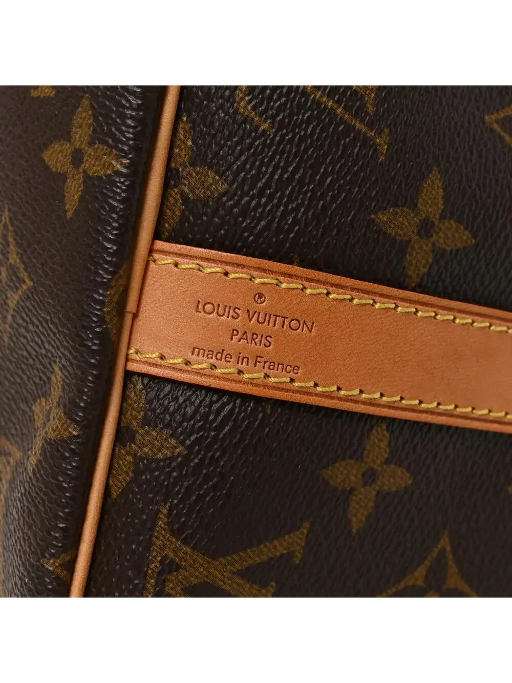 Louis Vuitton My Lv Heritage Speedy #308159L13B
